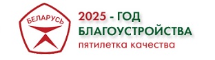 Год благоустройства